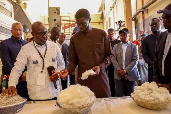 Vélingara/Tournée du chef de l&rsquo;Etat : la SODEFITEX au cœur de la stratégie de souveraineté économique