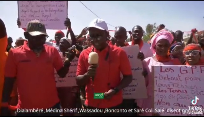 Kolda : Swami Agri : Un Projet agricole qui divise les populations.