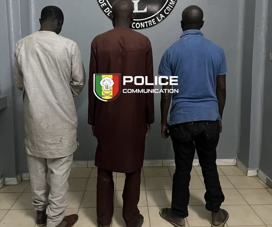 Trafic de faux médicaments : trois individus interpellés à Dakar avec 3 000 comprimés de Tramadol