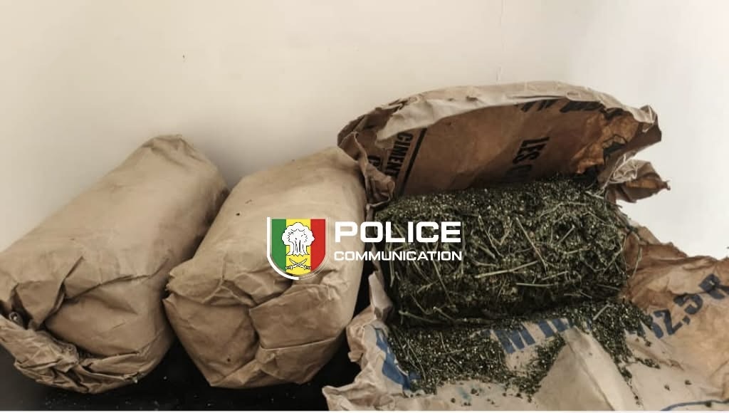 Lutte contre le trafic de stupéfiants : plus de 66 kg de chanvre indien  et des comprimés de Tramadol saisis, plusieurs réseaux démantelés.