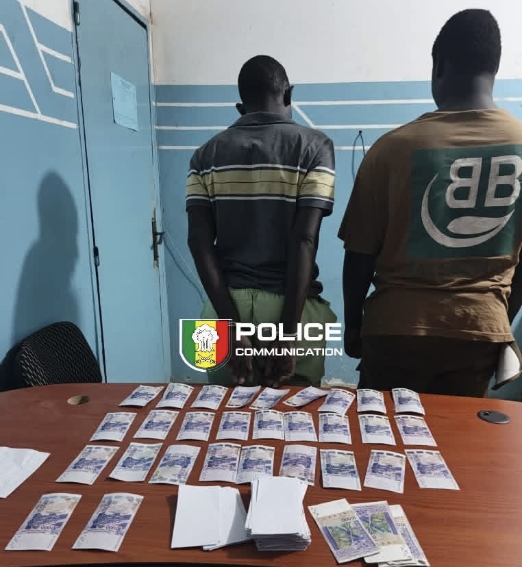 Thiès  : 510 000 FCFA en faux billets et près de 3 millions en billets noirs saisis, 02 individus interpellés