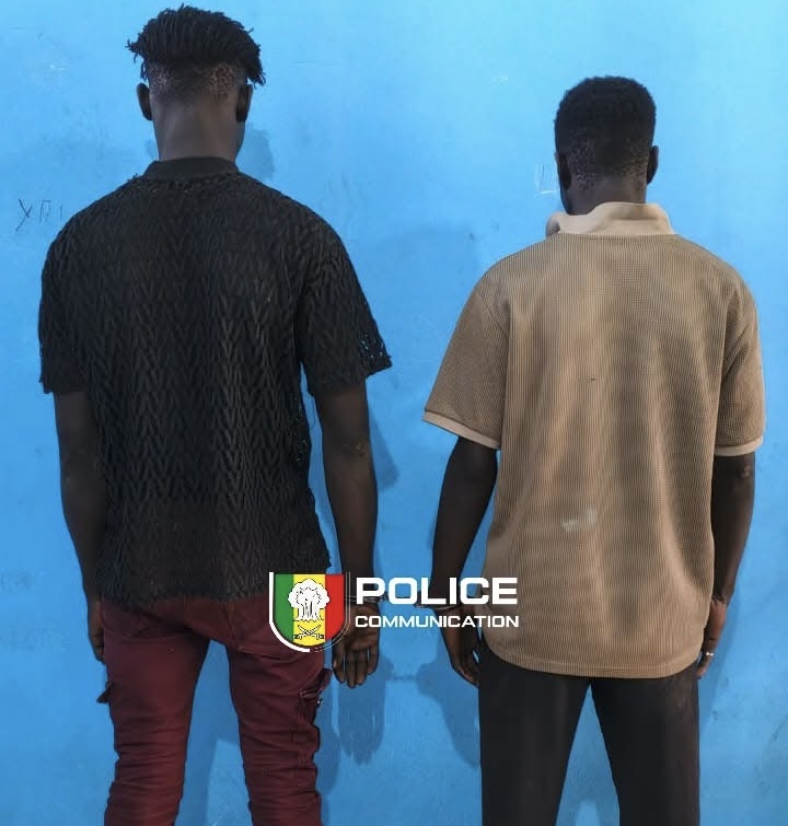 Vols en série de batteries de véhicules : deux suspects interpellés à Jaxaay, Parcelles et Niacourab