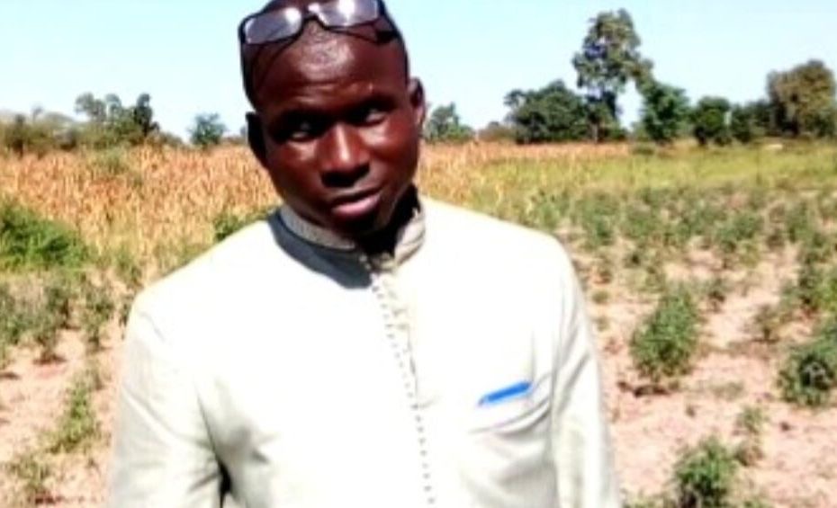 Engrais agricoles : Aar Sunu Momel démonte les chiffres officiels et alerte sur un risque de pénurie