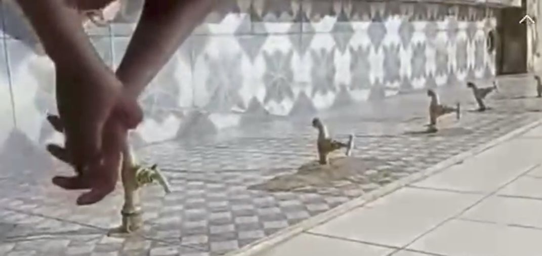 Médina Baye : aucune coupure d’eau à la Grande Mosquée, les responsables dénoncent une intox