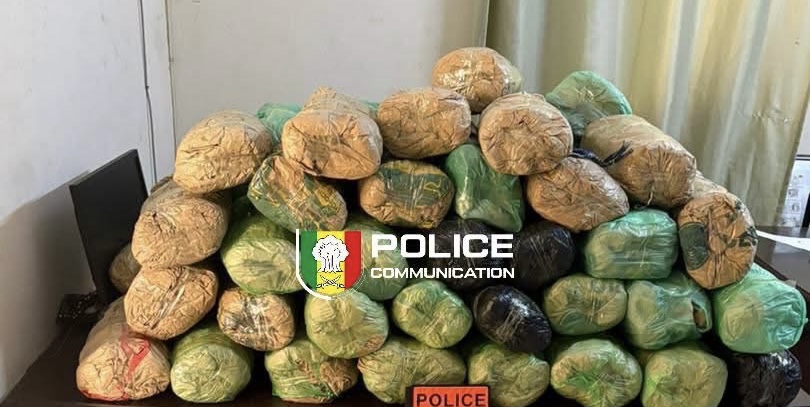 Karang : l’OCRTIS intercepte 63 kg de chanvre indien abandonnés par des trafiquants en fuite