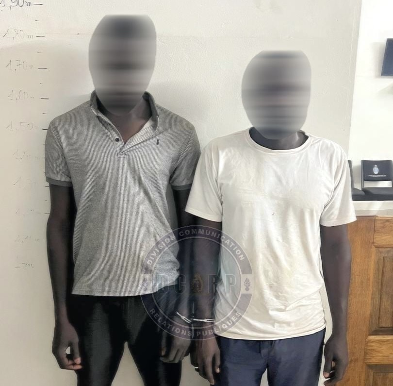 Faux monnayage : un réseau démantelé avec une saisie estimée à plus de 46 millions FCFA, 3 personnes arrêtées à Dakar et Kayar