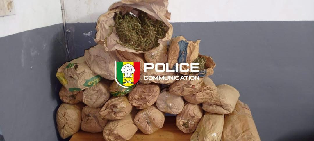 Kafountine : l’OCRTIS démantèle un réseau de trafic de drogue, 23 blocs de chanvre indien saisis