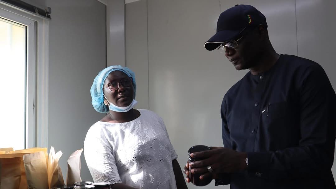Casamance/Clôture du projet SEDAD : un modèle d’adaptation écologique et inclusive salué par le Ministre Abdourahmane Diouf