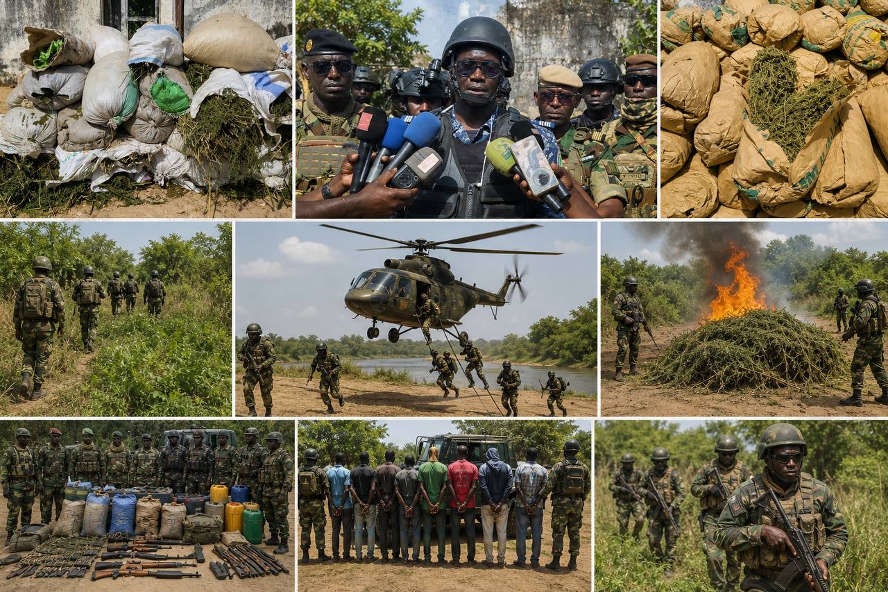 Casamance/Opération ELOL 2026 : 6 tonnes de chanvre, des armes de guerre saisies et 14 personnes interpellés