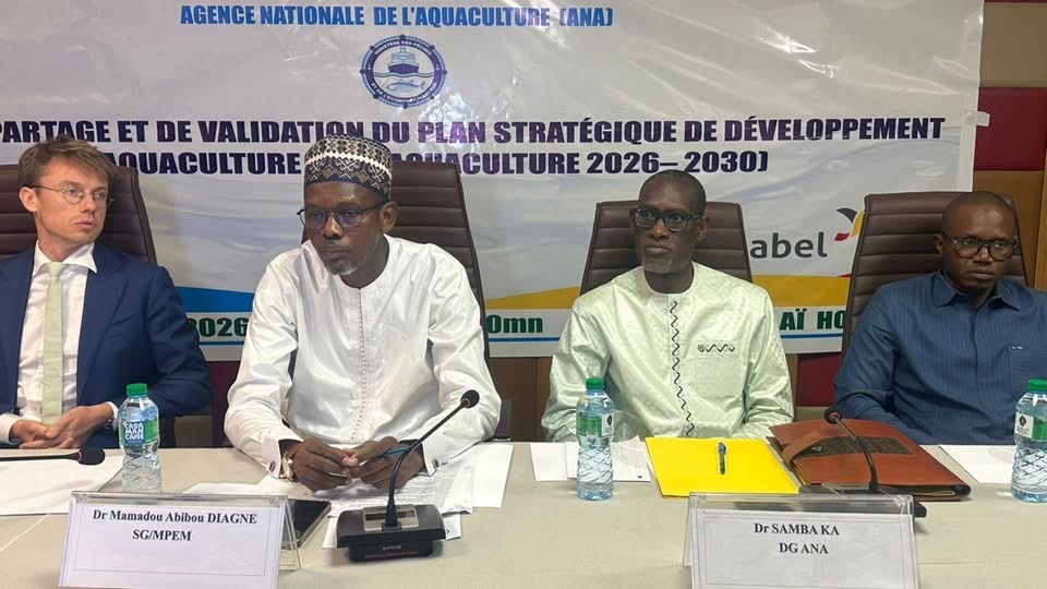 Aquaculture : l’ANA valide une nouvelle stratégie pour atteindre 20 000 tonnes de production et vise plus de 6000 emplois d’ici 2030