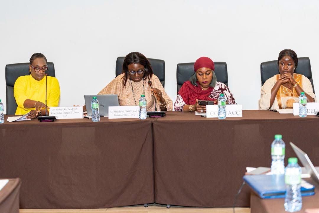 Sénégal : une stratégie nationale validée pour intégrer le genre dans l’action climatique