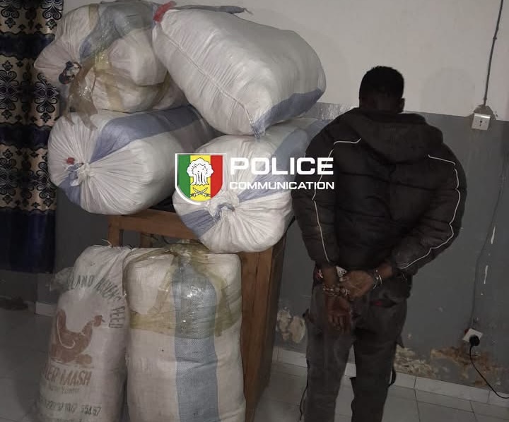 Trafic de drogue à Sédhiou : un trafiquant arrêté, un autre en fuite, 114 kg de chanvre indien saisis après une folle course-poursuite