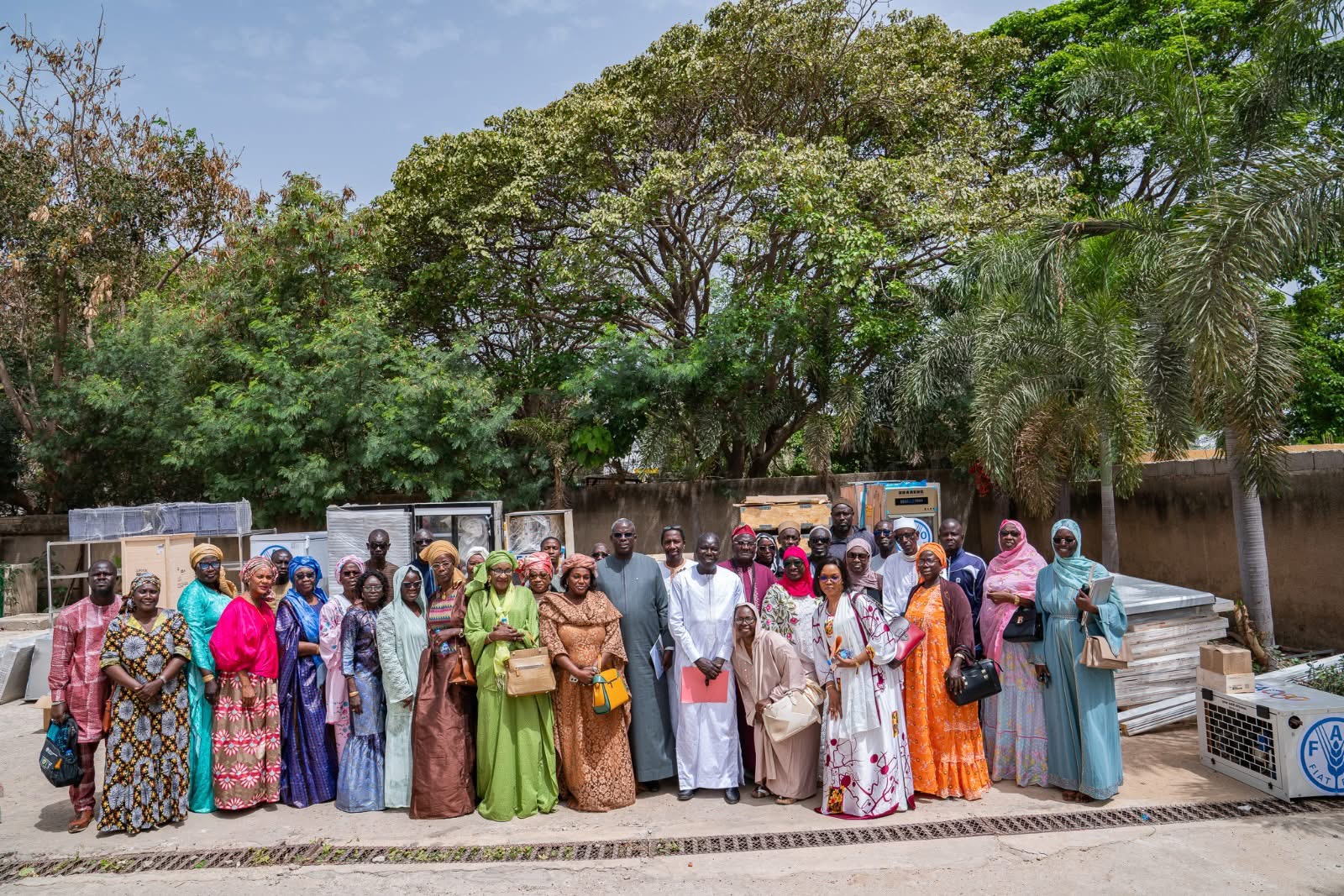 Agroalimentaire : la FAO et la BAD renforcent les capacités des PME sénégalaises