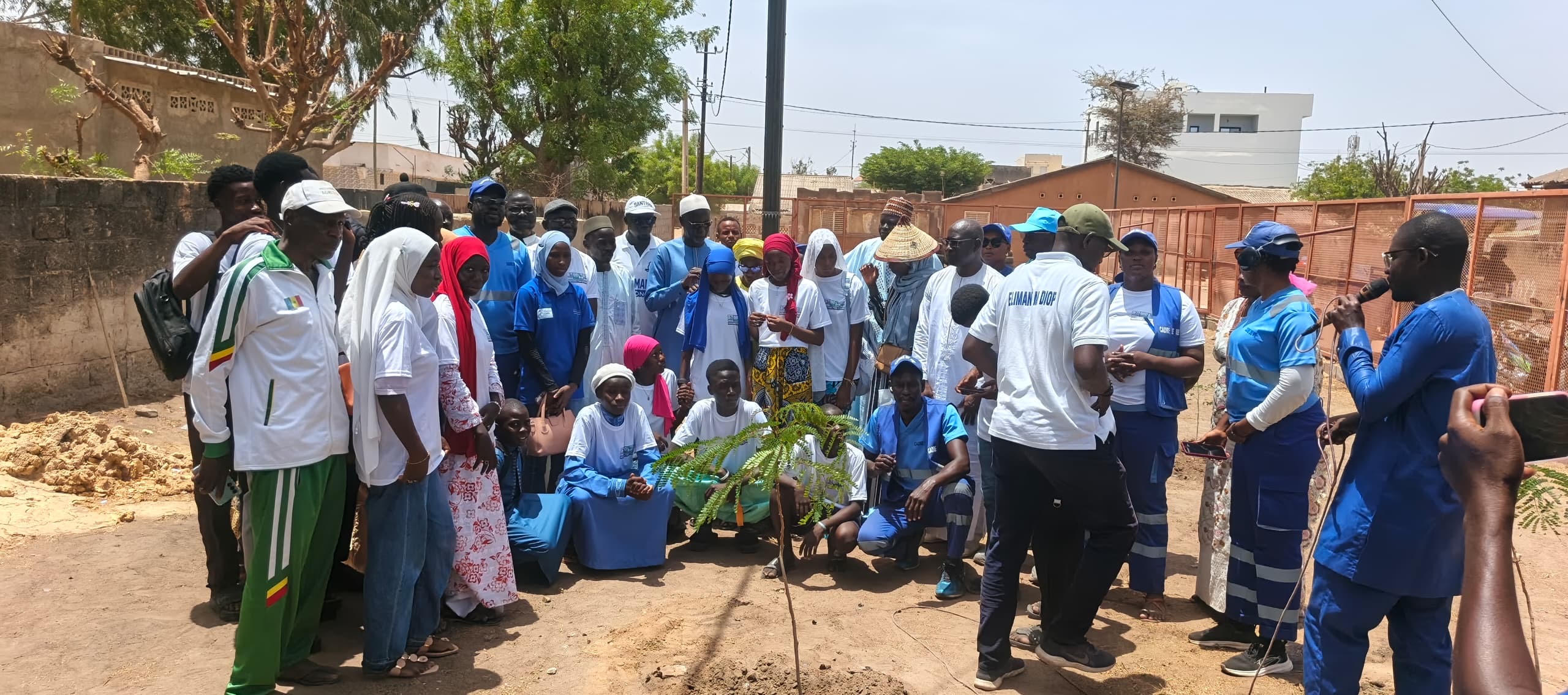 Kaolack : un ancien dépotoir transformé en jardin éco-citoyen à Bongré pour la Journée mondiale de l’environnement