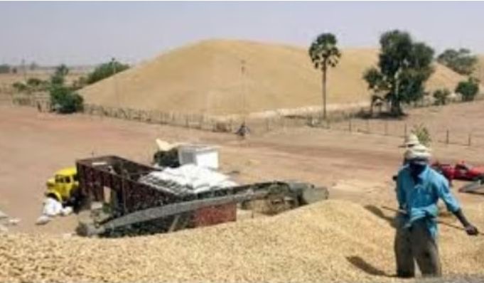 Campagne agricole 2026 : Kaolack mobilise ses forces pour un hivernage prometteur