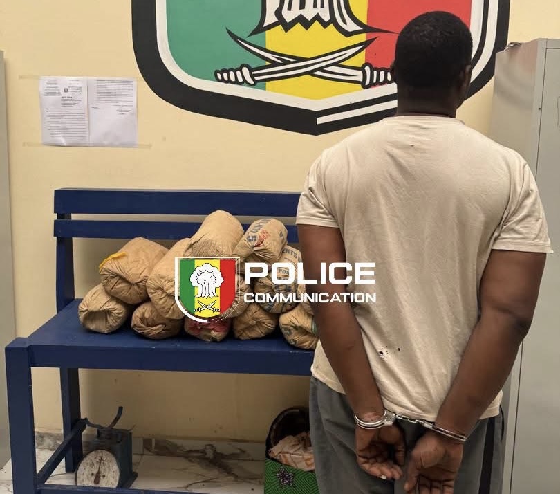 Dalifort : interpellé pour trafic de chanvre indien, un suspect tente de corrompre les policiers avec 1 million FCFA