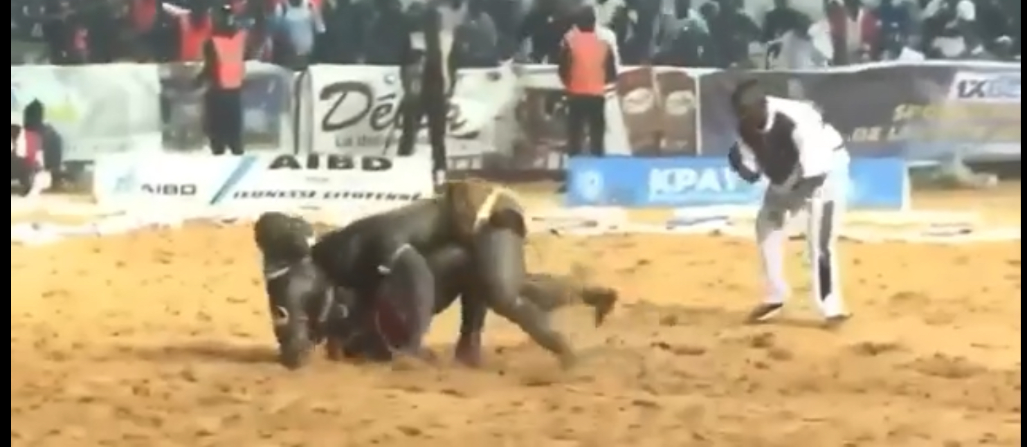 Sport-Lutte : Reug Reug s’impose face à Boy Niang 2 après un combat tactique et disputé