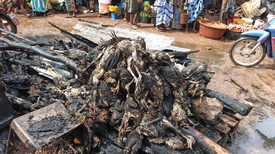 Kédougou : un violent incendie au marché central fait d&rsquo;importants dégâts