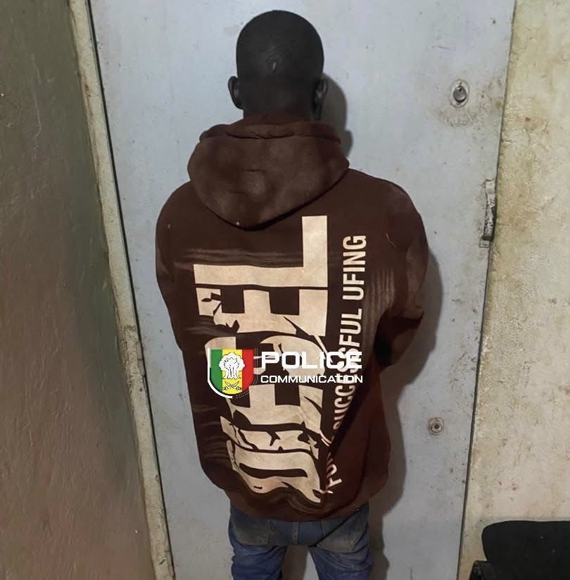 Trafic international de psychotropes : 11 500 comprimés de Tramadol saisis à Kédougou